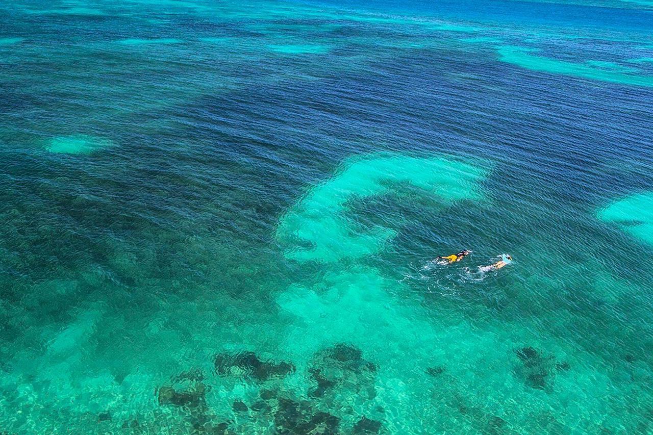 Вилла Leeward Isle Ки-Уэст Экстерьер фото