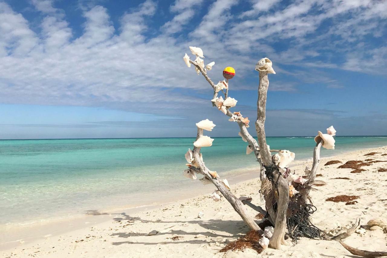Вилла Leeward Isle Ки-Уэст Экстерьер фото